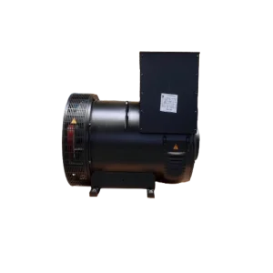 ژنراتور تک طرح استمفورد 20 کاوا مدل DS184ES